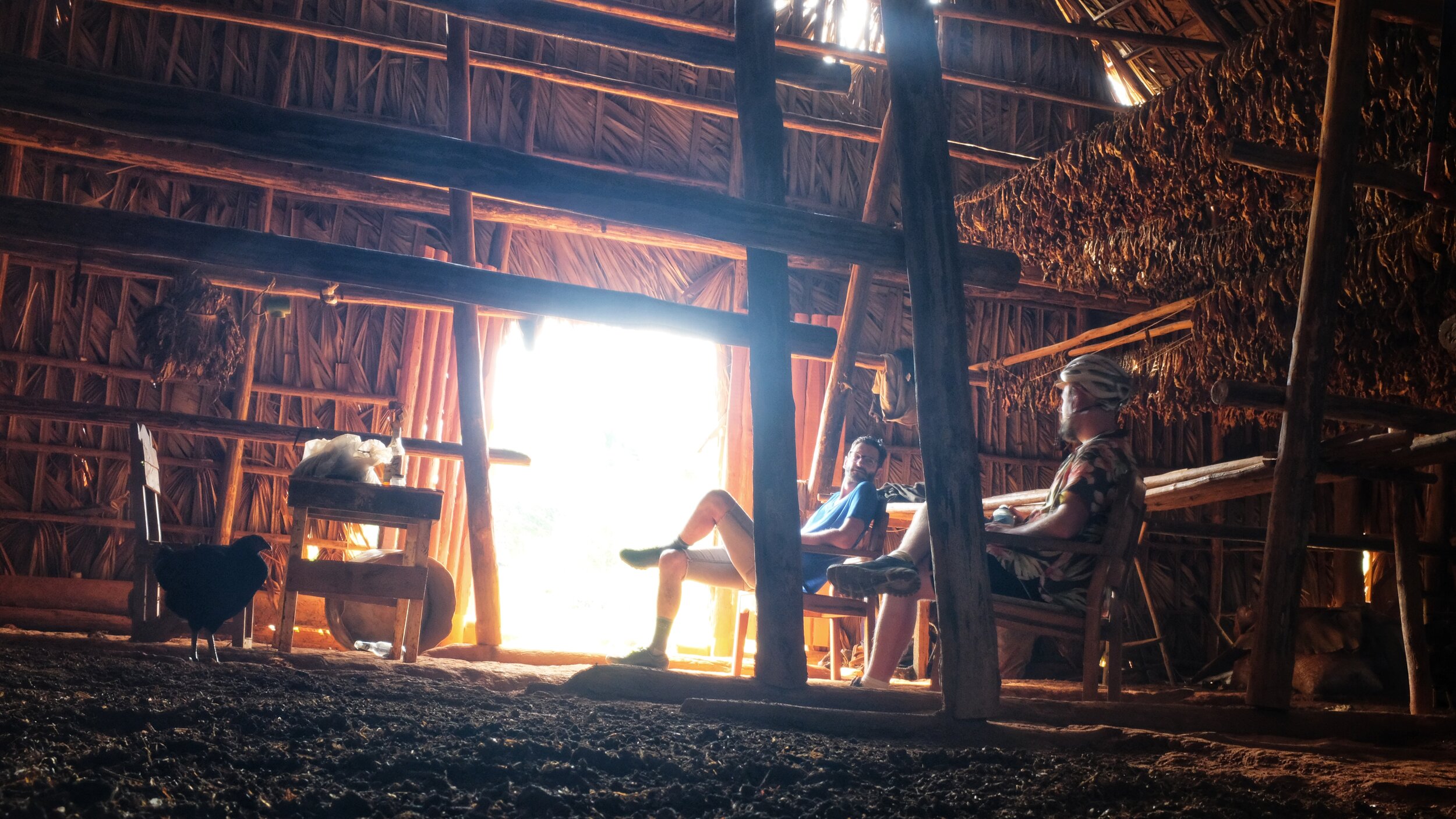 At the tobacco farm
